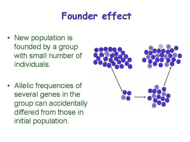 Founder effect • New population is founded by a group with small number of