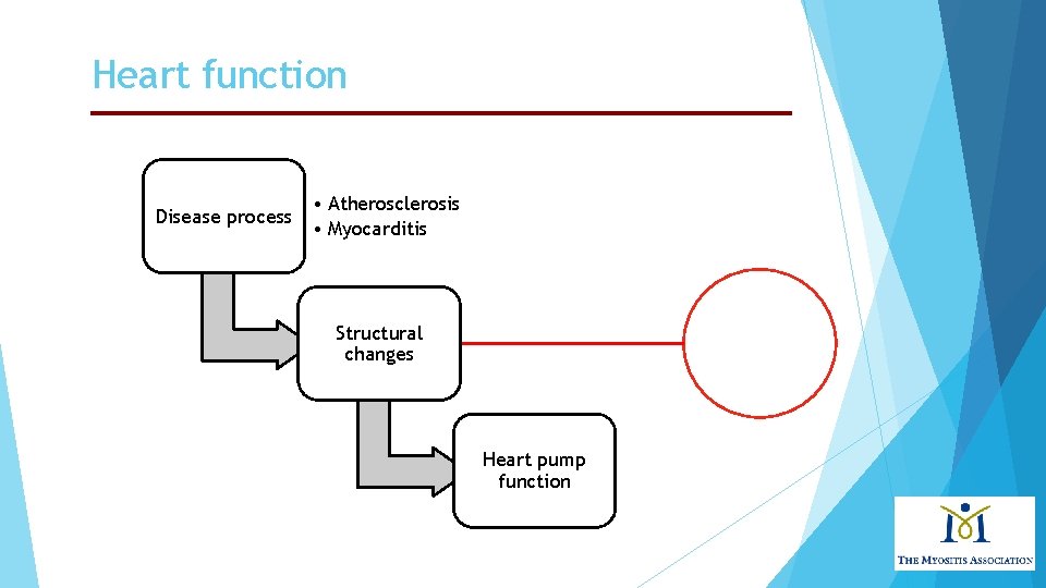 Heart function Disease process • Atherosclerosis • Myocarditis Structural changes Heart pump function 