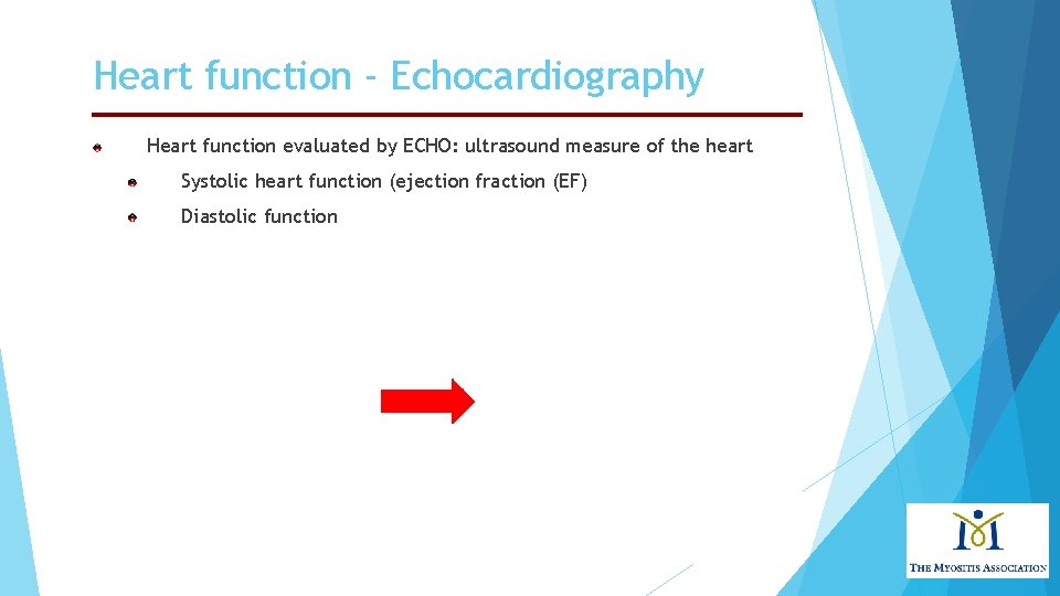 Heart function - Echocardiography Heart function evaluated by ECHO: ultrasound measure of the heart