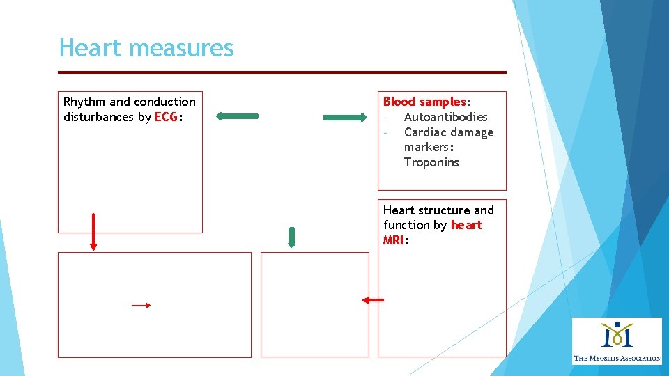 Heart measures Rhythm and conduction disturbances by ECG: Blood samples: Autoantibodies Cardiac damage markers: