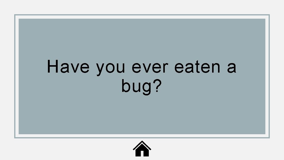 Have you ever eaten a bug? 