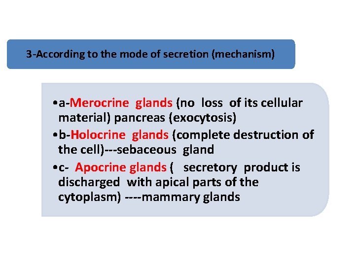 3 -According to the mode of secretion (mechanism) • a-Merocrine glands (no loss of