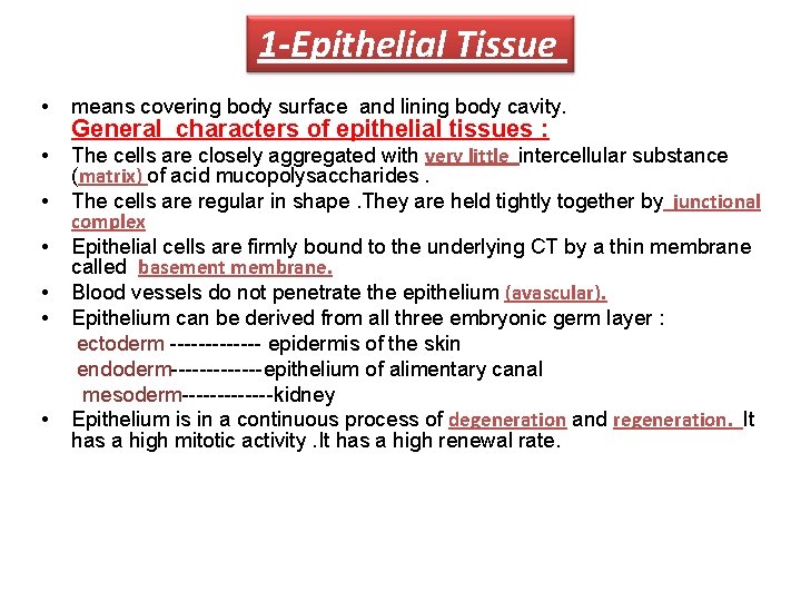 1 -Epithelial Tissue • means covering body surface and lining body cavity. • The