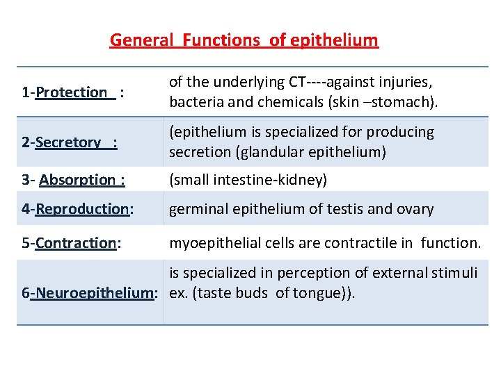 General Functions of epithelium 1 -Protection : of the underlying CT----against injuries, bacteria and
