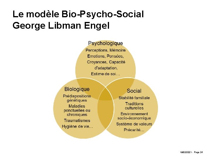 Le modèle Bio-Psycho-Social George Libman Engel 19/02/2021 - Page 24 