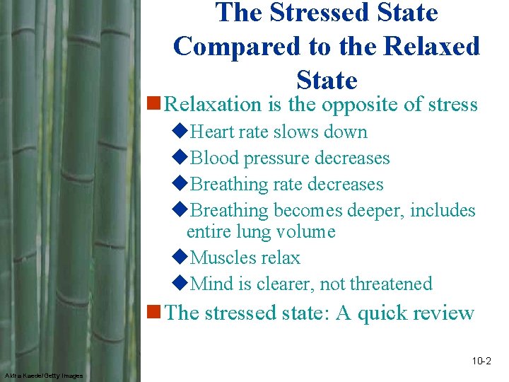 The Stressed State Compared to the Relaxed State n Relaxation is the opposite of