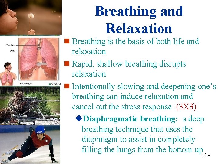 Breathing and Relaxation n Breathing is the basis of both life and relaxation n