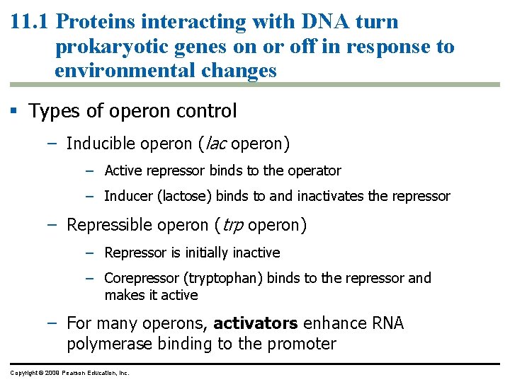 11. 1 Proteins interacting with DNA turn prokaryotic genes on or off in response