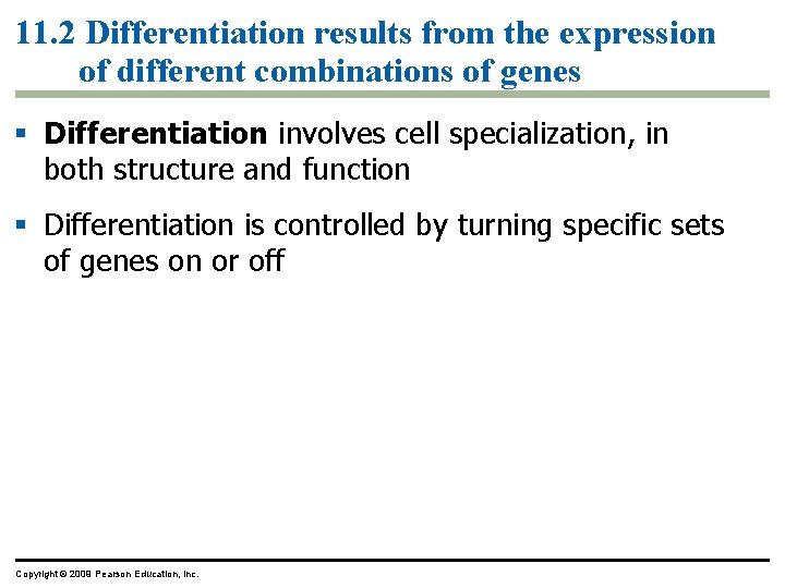 11. 2 Differentiation results from the expression of different combinations of genes Differentiation involves