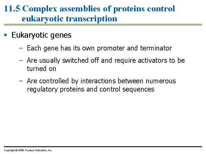 11. 5 Complex assemblies of proteins control eukaryotic transcription Eukaryotic genes – Each gene