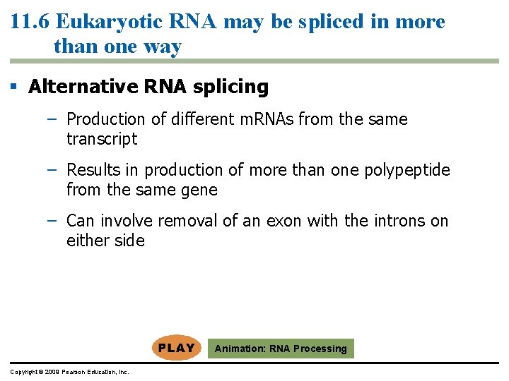11. 6 Eukaryotic RNA may be spliced in more than one way Alternative RNA