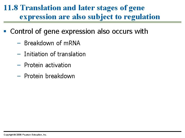 11. 8 Translation and later stages of gene expression are also subject to regulation