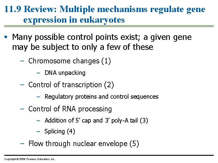 Chapter 11 How Genes Are Controlled Power Point