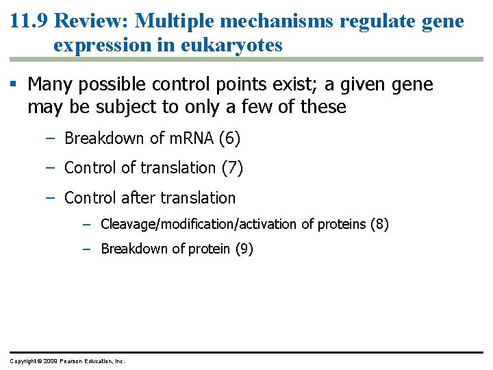 11. 9 Review: Multiple mechanisms regulate gene expression in eukaryotes Many possible control points