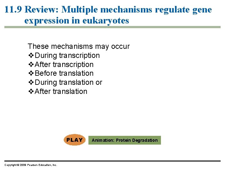 11. 9 Review: Multiple mechanisms regulate gene expression in eukaryotes These mechanisms may occur