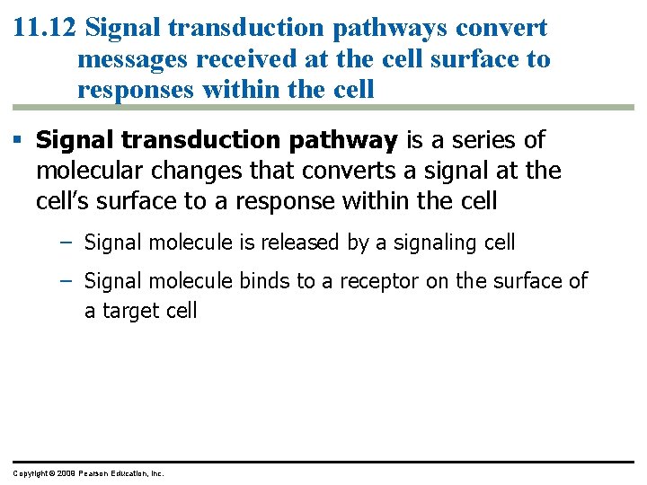 11. 12 Signal transduction pathways convert messages received at the cell surface to responses