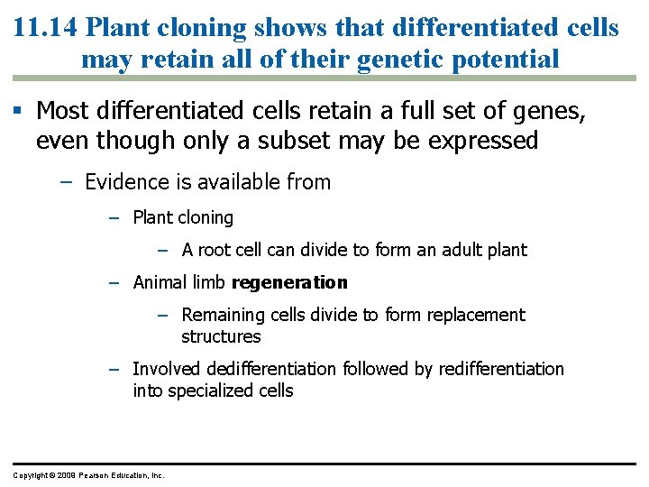 11. 14 Plant cloning shows that differentiated cells may retain all of their genetic