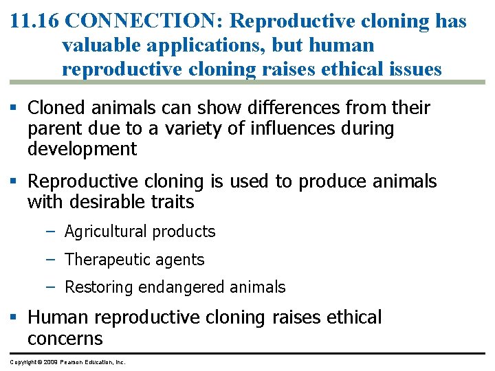 11. 16 CONNECTION: Reproductive cloning has valuable applications, but human reproductive cloning raises ethical