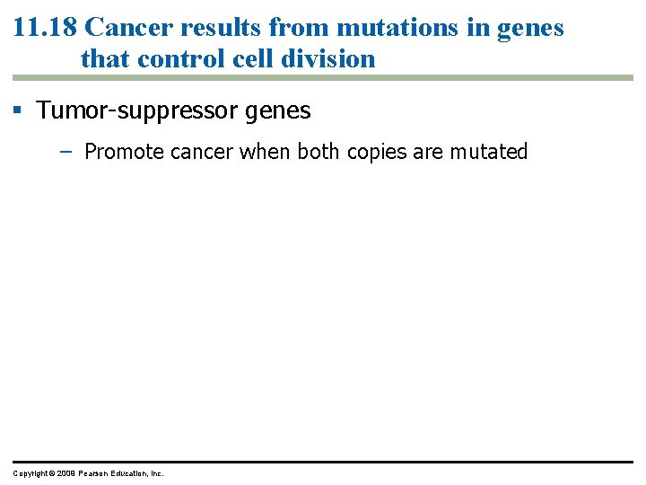 11. 18 Cancer results from mutations in genes that control cell division Tumor-suppressor genes