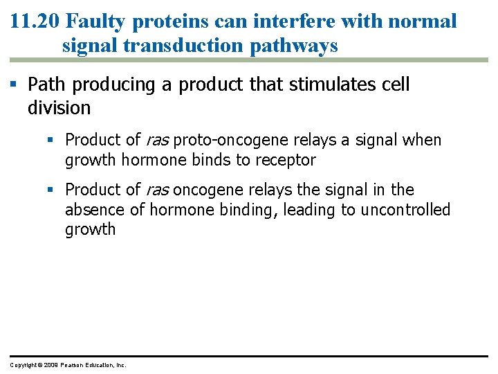 11. 20 Faulty proteins can interfere with normal signal transduction pathways Path producing a