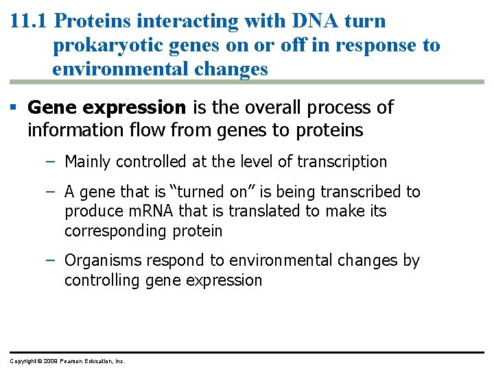 11. 1 Proteins interacting with DNA turn prokaryotic genes on or off in response