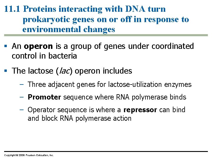 11. 1 Proteins interacting with DNA turn prokaryotic genes on or off in response