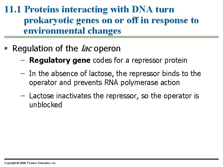 11. 1 Proteins interacting with DNA turn prokaryotic genes on or off in response