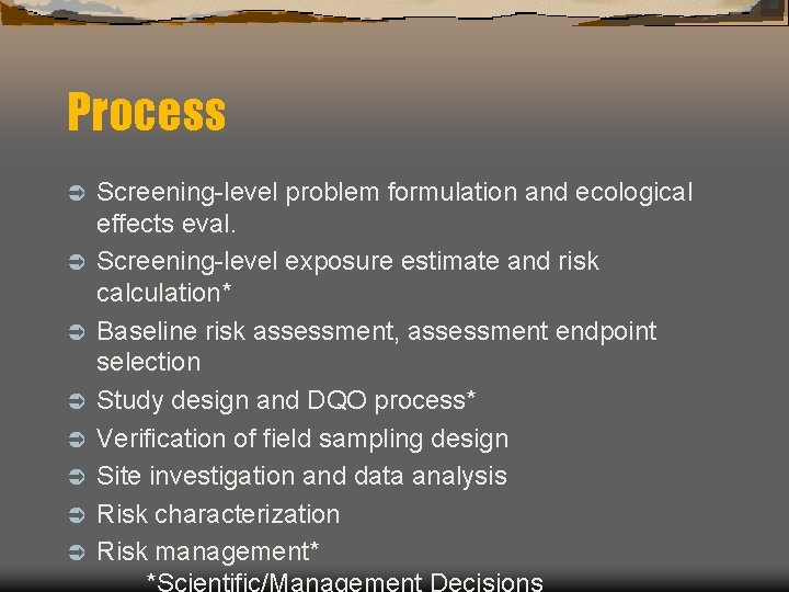 Process Ü Ü Ü Ü Screening-level problem formulation and ecological effects eval. Screening-level exposure