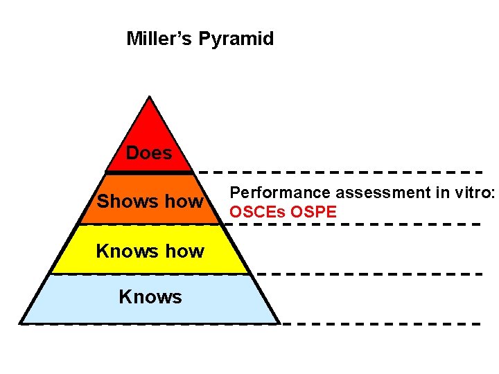 Miller’s Pyramid Does Shows how Knows Performance assessment in vitro: OSCEs OSPE 