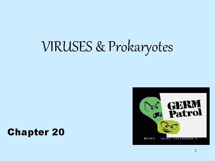 VIRUSES & Prokaryotes Chapter 20 1 