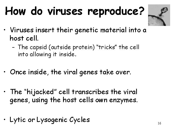 How do viruses reproduce? • Viruses insert their genetic material into a host cell.