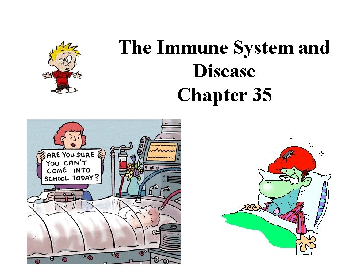 The Immune System and Disease Chapter 35 