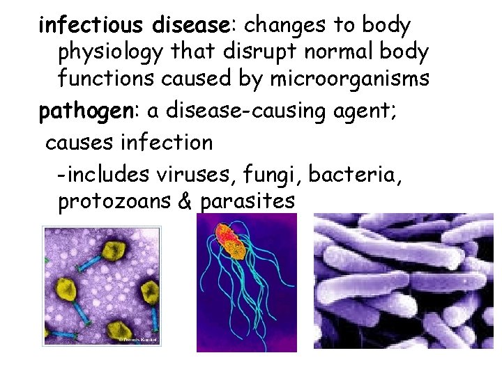 infectious disease: changes to body physiology that disrupt normal body functions caused by microorganisms