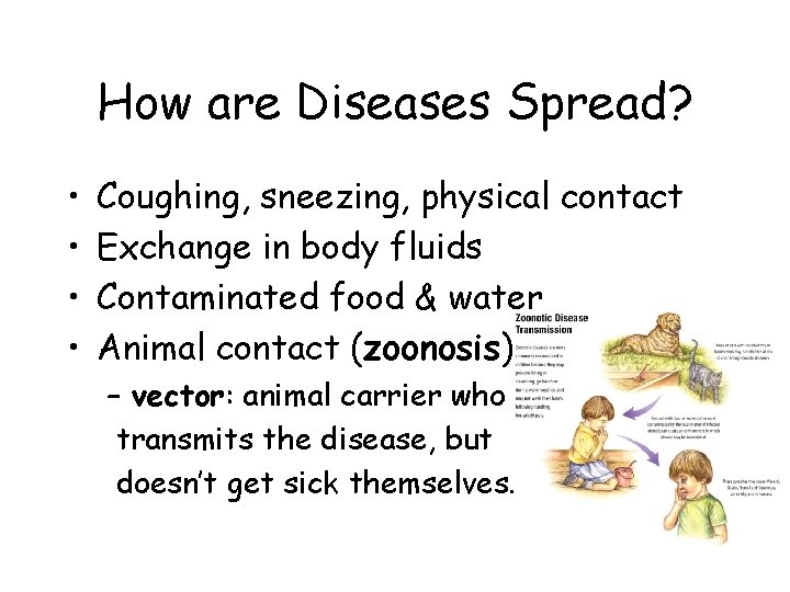 How are Diseases Spread? • • Coughing, sneezing, physical contact Exchange in body fluids