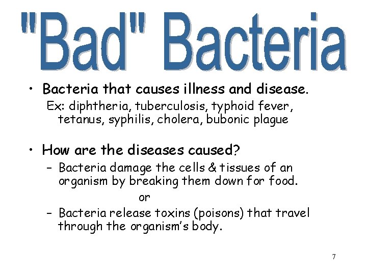  • Bacteria that causes illness and disease. Ex: diphtheria, tuberculosis, typhoid fever, tetanus,