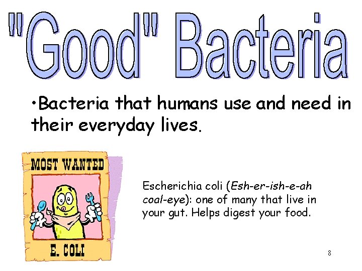  • Bacteria that humans use and need in their everyday lives. Escherichia coli