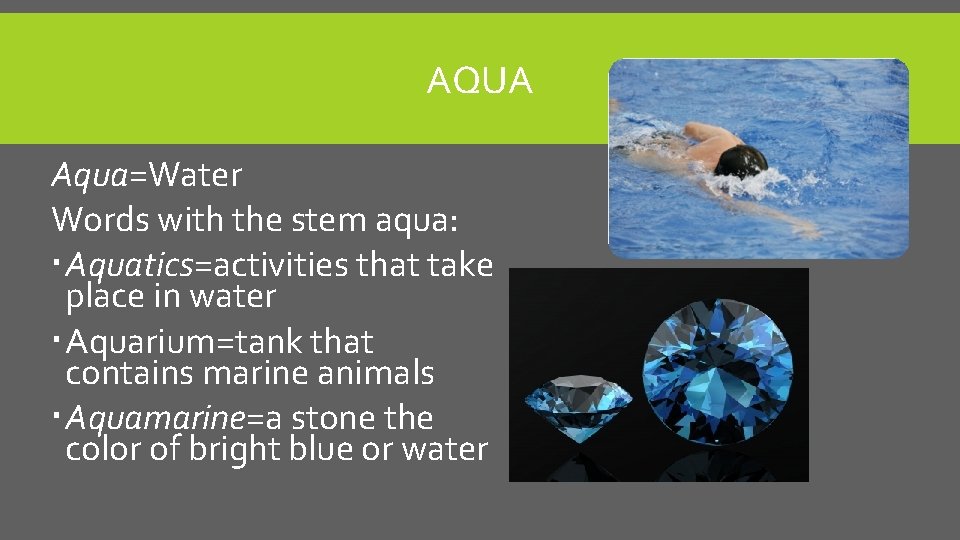 AQUA Aqua=Water Words with the stem aqua: Aquatics=activities that take place in water Aquarium=tank