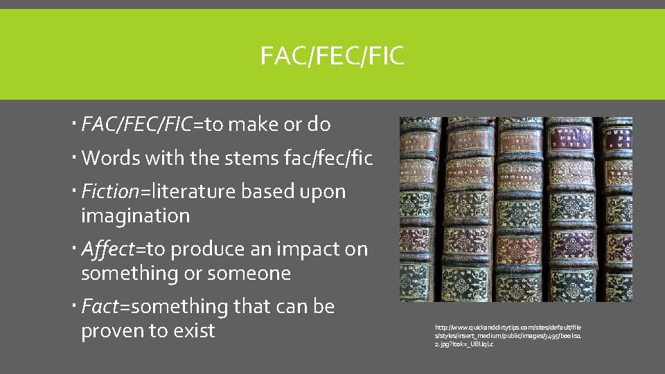 FAC/FEC/FIC FAC/FEC/FIC=to make or do Words with the stems fac/fec/fic Fiction=literature based upon imagination