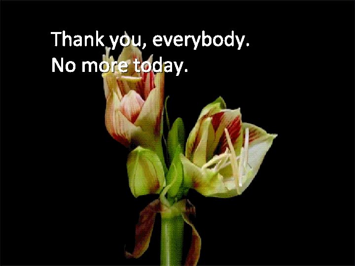 Thank you, everybody. No more today. 