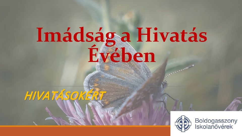 Imádság a Hivatás Évében HIVATÁSOKÉRT 