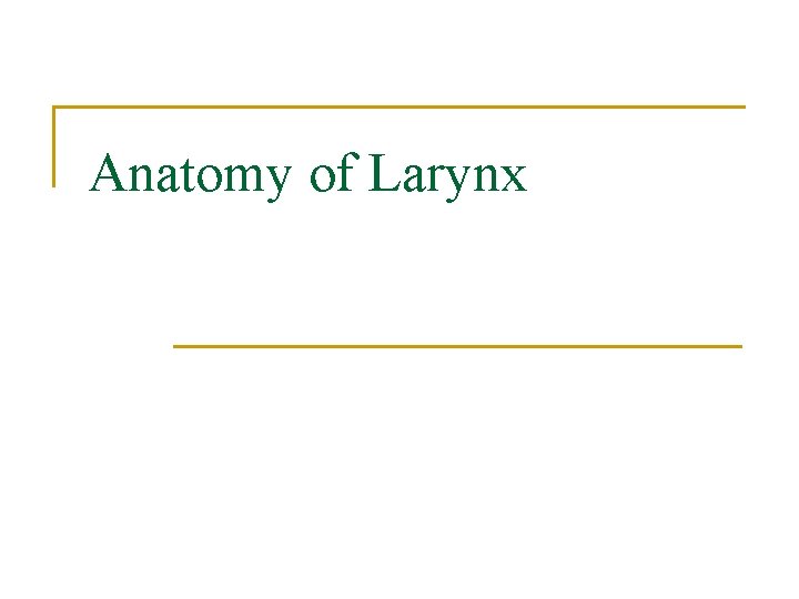 Anatomy of Larynx 