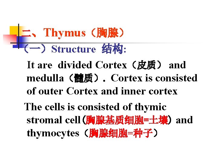 二、Thymus（胸腺） （一）Structure 结构: It are divided Cortex（皮质） and medulla（髓质）. Cortex is consisted of outer