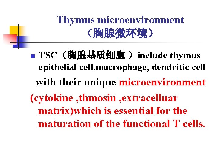 Thymus microenvironment （胸腺微环境） n TSC（胸腺基质细胞 ）include thymus epithelial cell, macrophage, dendritic cell with their