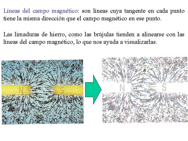 Líneas del campo magnético: son líneas cuya tangente en cada punto tiene la misma