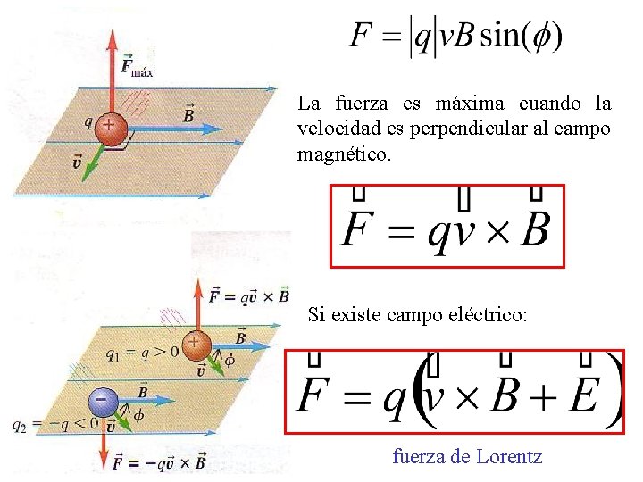 La fuerza es máxima cuando la velocidad es perpendicular al campo magnético. Si existe