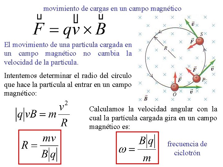 movimiento de cargas en un campo magnético El movimiento de una partícula cargada en