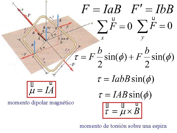 momento dipolar magnético momento de torsión sobre una espira 