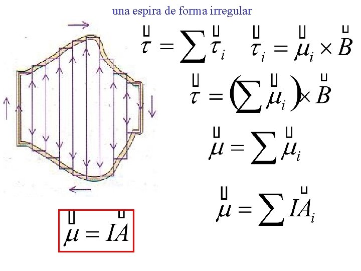 una espira de forma irregular 