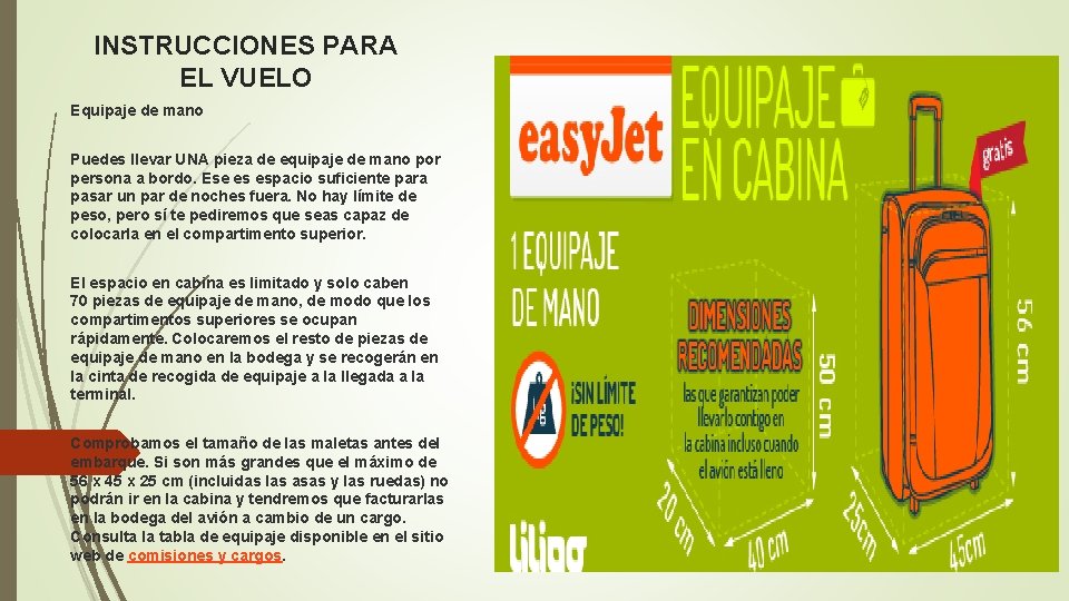 INSTRUCCIONES PARA EL VUELO Equipaje de mano Puedes llevar UNA pieza de equipaje de INSTRUCCIONES PARA EL VUELO Equipaje de mano Puedes llevar UNA pieza de equipaje de