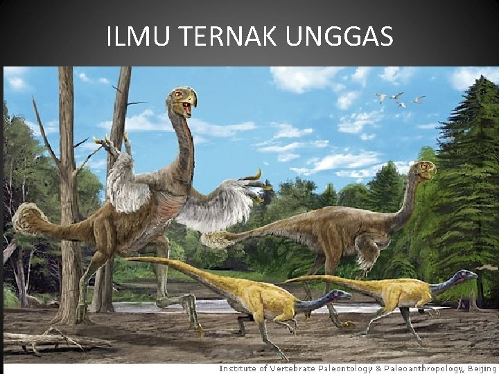 ILMU TERNAK UNGGAS 